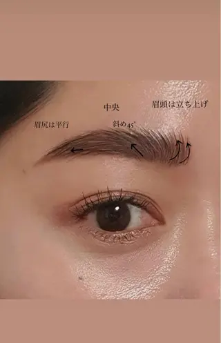 肌管理／眉毛．まつ毛 陽子の眉毛・アイブロウイメージ