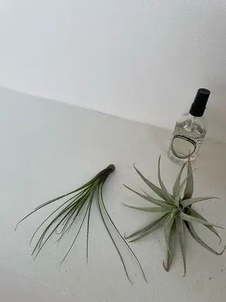 マツエク・マツパ eyan _kco 西宮/甲子園口のマツエク・マツパデザイン