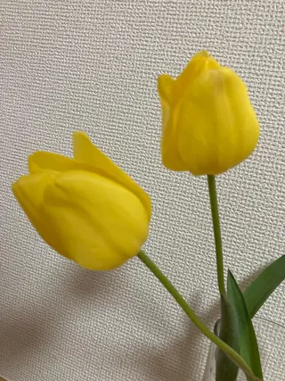 メナード 西熊本駅南のエステ・リラクイメージ