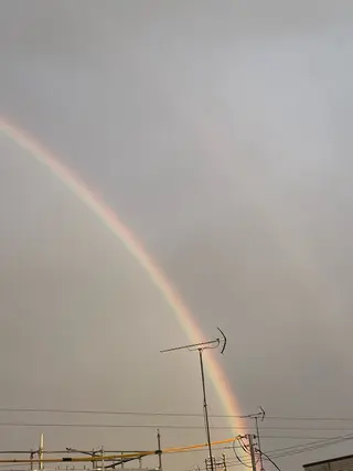 小鴨 美佳のヘアスタイル