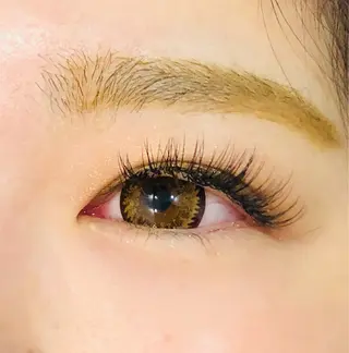 マツエク・マツパ プライベートサロン ココルのマツエク・マツパデザイン