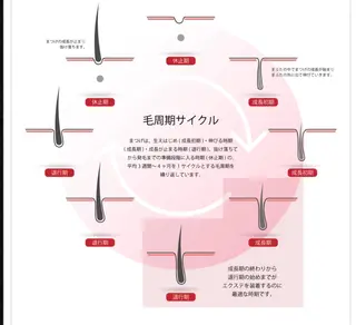 マツエク・マツパ Paulele すぎ.*のマツエク・マツパデザイン