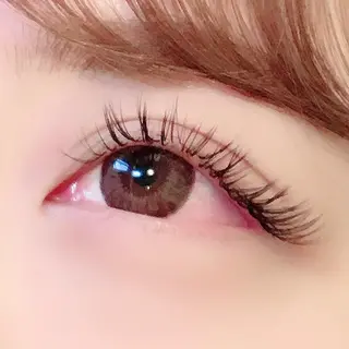 マツエク・マツパ 【ダメージケア特化】 🌸 サクララッシュの眉毛・アイブロウイメージ