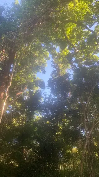 カラー 🌱ヘッドスパ🌱 愛衣香🫧のヘアスタイル