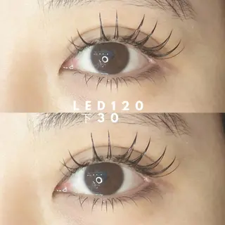 マツエク・マツパ 《eyelash ｉｉｔｅ》森のマツエク・マツパデザイン