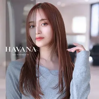 セミロング カラー ill HAVANA 【レイヤー/韓国】のヘアスタイル