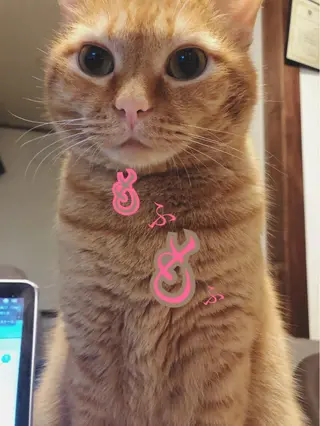 kiki nail &brow二子玉川の眉毛・アイブロウイメージ