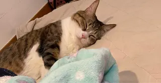 Spiky とうげ ふうかのネイルデザイン