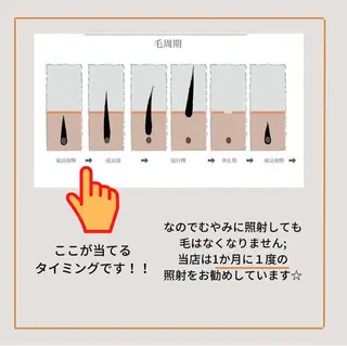 calimero 美肌脱毛サロンの眉毛・アイブロウイメージ