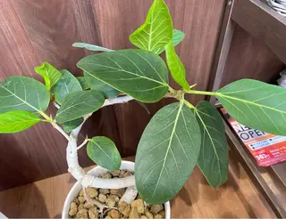 Move✴︎ body careのエステ・リラクイメージ