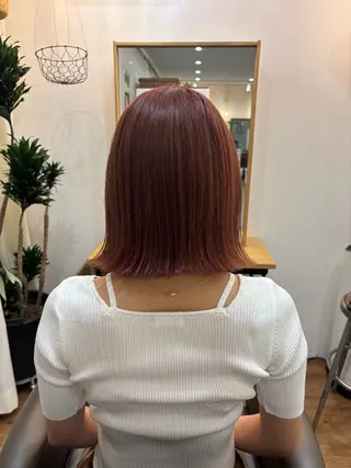 カラー asuka モデル募集中🪄のヘアスタイル