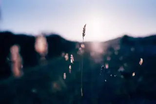 🌼二本柳 🌼のヘアスタイル