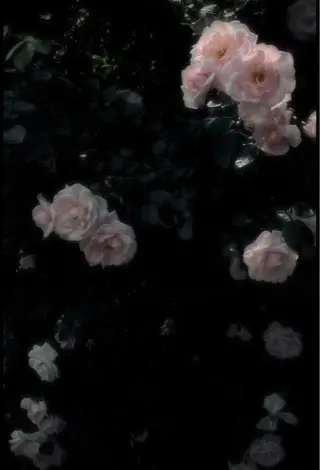 ショート メンズ メンズカットモデル様 募集🚹✨ひなこのヘアスタイル