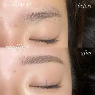 アイブロウ シードリン 府内店 杉田のマツエク・マツパデザイン