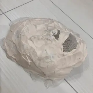 宮野 麻綺のエステ・リラクイメージ