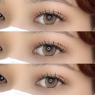 マツエク・マツパ eyelash "Koa"🕊🤎のマツエク・マツパデザイン