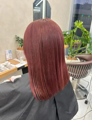 ミディアム カラー ブリーチなしカラー/ 暖色カラー/艶カラーのヘアスタイル