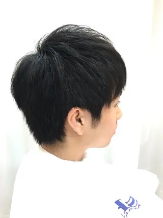 ショート メンズ 白髪ぼかし/ブリーチ /縮毛矯正/ヨナミネのヘアスタイル