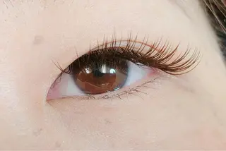 マツエク・マツパ Amaryllis所属・Amaryllis 渡辺のマツエク・マツパデザイン