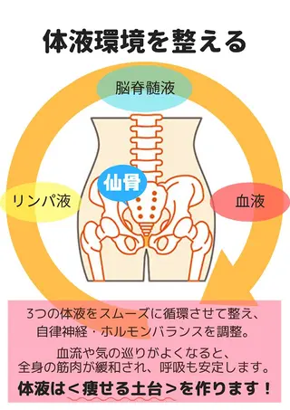 柴田 知里のエステ・リラクイメージ