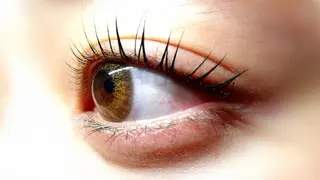 マツエク・マツパ 完全個室サロン🌹 angelux🌹のマツエク・マツパデザイン