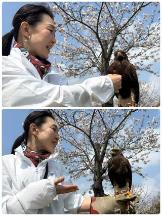 岩井 秋子のエステ・リラクイメージ
