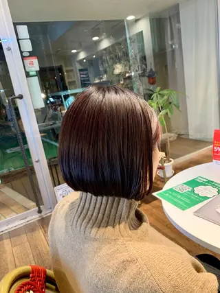 ミディアム 小杉輝/ショート /艶カラー✨のヘアスタイル