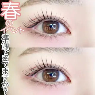 マツエク・マツパ nuit 【ニュイ】 大宮 /　yucaのマツエク・マツパデザイン