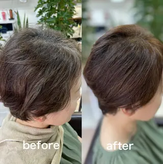 ショート カラー 本田 智美のヘアスタイル