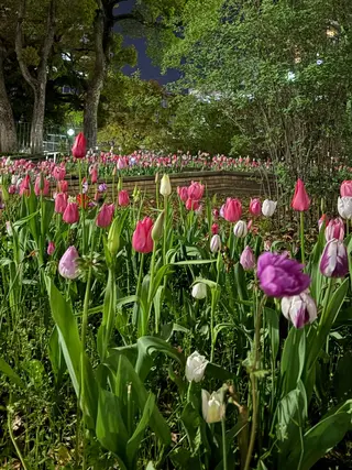 Yu-ka🌼*･ カラー縮毛矯正❣️のヘアスタイル