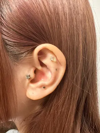 B.napus/mimi2bo所属・B.napus Nanohaのその他イメージ