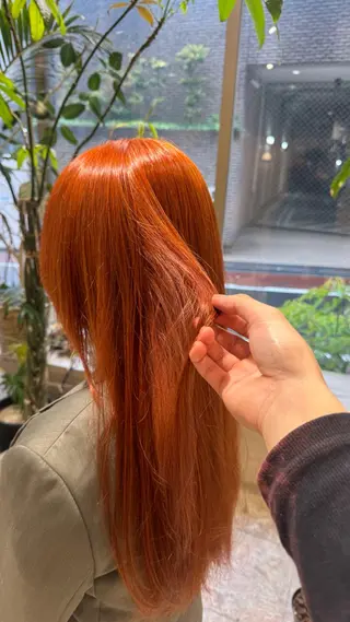 セミロング カラー 🎨ハイトーン/ウル フ/ショート/大夢のヘアスタイル