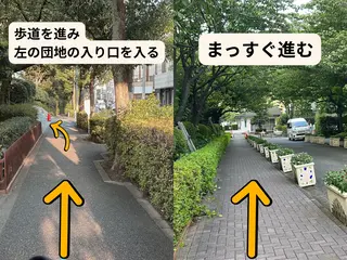 女性のための整体shizen所属・女性のための整体 shizenのその他イメージ