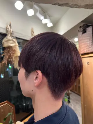 ショート カラー ま ひのヘアスタイル