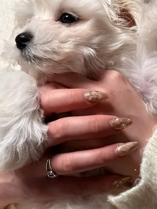 ネイル __ otoのネイルデザイン