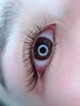 マツエク・マツパ Cute beauty2のマツエク・マツパデザイン