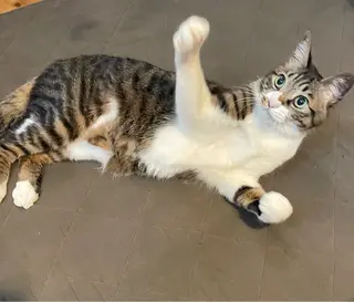 Spiky とうげ ふうかのネイルデザイン