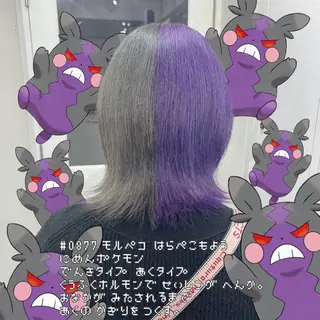 ショート カラー ハイトーン/ウルフ /小澤凌祐🦕のヘアスタイル