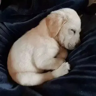 ショート ◆感動口コミ/最小顔 理論カット◆森口 峻のヘアスタイル