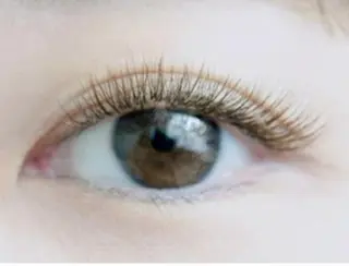 マツエク・マツパ kaona 吉祥寺のマツエク・マツパデザイン