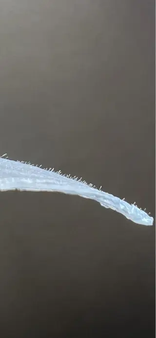 Dimples eyelashのエステ・リラクイメージ