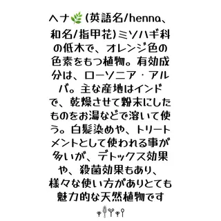 カラー フィールドパパ所属・リラクゼーション ヘナサロンのヘアスタイル