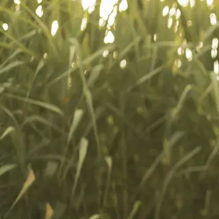 滝澤 良紀のヘアスタイル