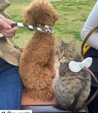 ミディアム カラー メンズ 🩷Eny terrace🩷のヘアスタイル