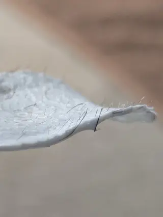  SOLEIL 小玉の眉毛・アイブロウイメージ