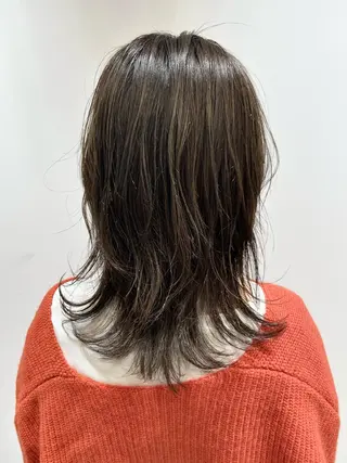 ミディアム カラー 🐺ウルフ/レイヤー 似合わせ‎🤍沙羅のヘアスタイル