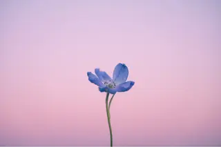 🌼二本柳 🌼のヘアスタイル