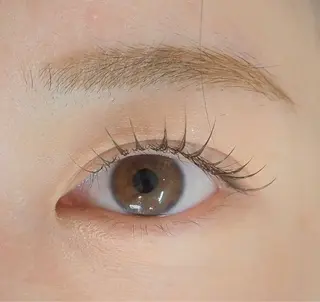 マツエク・マツパ suco eyebeauty所属・大阪福島suco eyebeautyのマツエク・マツパデザイン