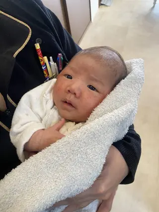 鈴木 愛花の眉毛・アイブロウイメージ