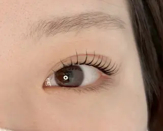 マツエク・マツパ 坂本 亜美のマツエク・マツパデザイン